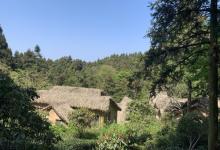 华顶国家森林公园22