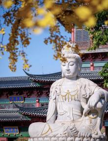 毗卢寺17