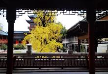 毗卢寺7