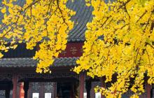 毗卢寺2