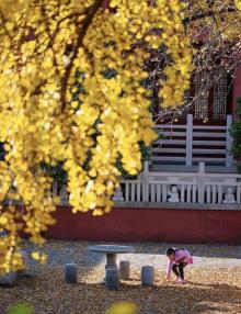 毗卢寺12