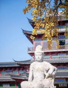 毗卢寺18