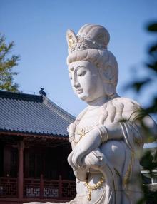 毗卢寺15
