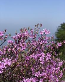 天台景区11