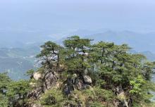 天台景区9