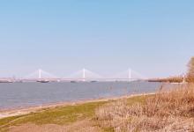 鱼嘴湿地公园8