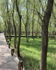 鱼嘴湿地公园22
