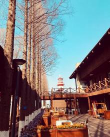 鱼嘴湿地公园17