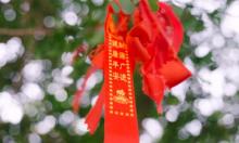 观天下景区9