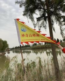 高邮湖芦苇荡湿地公园22