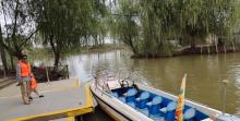 高邮湖芦苇荡湿地公园24