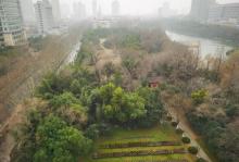 包公墓12