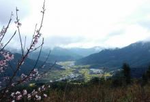 江岭赏油菜花海15