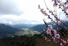 江岭赏油菜花海14
