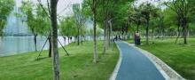 天鹅湖体育公园21