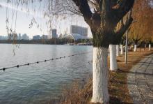 天鹅湖体育公园7