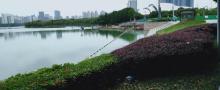 天鹅湖体育公园17