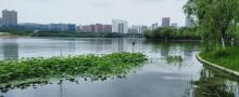 天鹅湖体育公园25