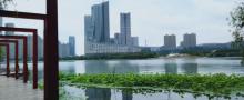 天鹅湖体育公园22