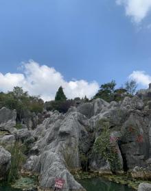 丫山花海石林9