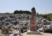 丫山花海石林15