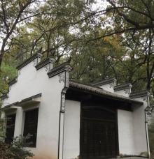 紫蓬山国家森林公园10