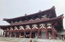 紫蓬山国家森林公园17