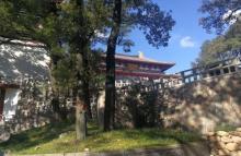 紫蓬山国家森林公园25