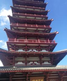 紫蓬山国家森林公园23