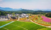 高岭中国村21