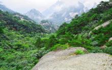 天海10