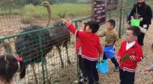 扬州天乐湖嬉乐谷13