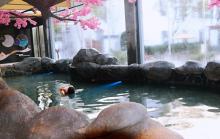 一号泉漂浮温泉29