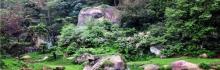 莲峰云海景区2