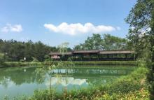 莲峰云海景区21