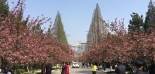 中国科学技术大学11