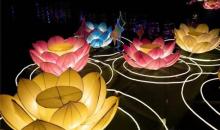 白鹭洲公园15