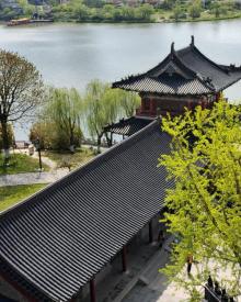 凤城河望海楼11