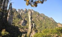 巨蟒出山23