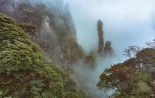 巨蟒出山3