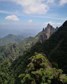 巨蟒出山25