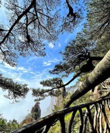 巨蟒出山17