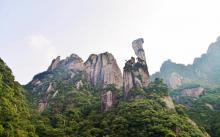 巨蟒出山9