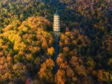 灵谷寺1