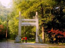 灵谷寺29