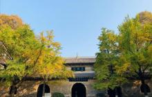 灵谷寺21
