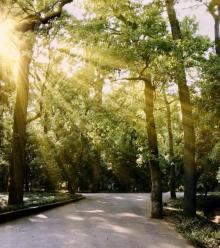 灵谷寺28