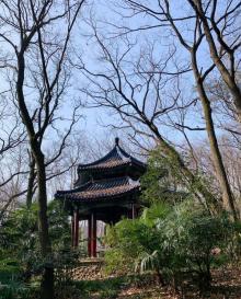 灵谷寺16