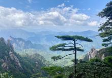 西海岸景区7