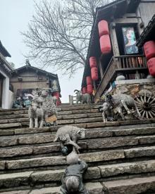 宝华山国家森林公园25